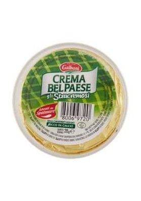 FR GALBANI CREMA BEL PAESE T.2 PZ.24 - Carton de 24 pièces
