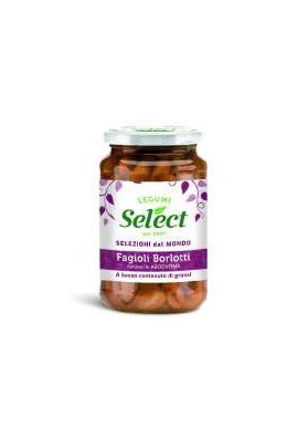 SELECT LESSATI FAG.BORLOTTI VT G.360 X12 - Carton de 12 pièces