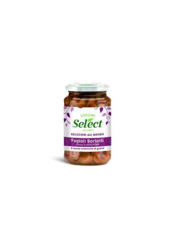 SELECT LESSATI FAG.BORLOTTI VT G.360 X12 - Carton de 12 pièces