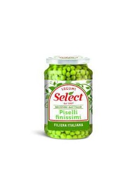 SELECT PISELLI FINISS. VETRO GR.360 PZ12 - Carton de 12 pièces