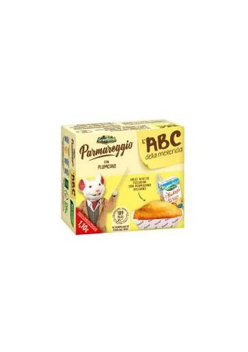 FR PARMAREGGIO ABC PLUMCAKE GR 32 PZ 10 - Carton de 10 pièces