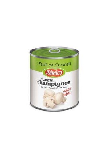 D'AMICO FUNGHI CHAMPIGNONS G.800 PZ.12 - Carton de 12 pièces