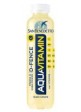 S.BENEDETTO ACQUAVITAMIN LIMONE 0,4LX12 - Carton de 12 pièces
