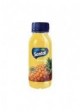 SANTAL PET ANANAS ML.250 PZ.12 - Carton de 12 pièces
