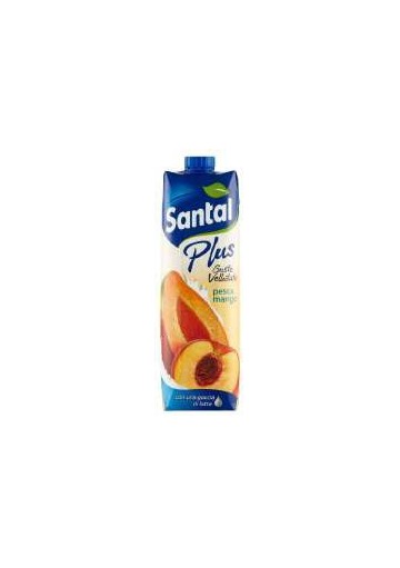 SANTAL PRISMA SUCCO PESCA\MANGO LT.1X12 - Carton de 12 pièces