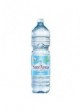 SANT'ANNA ACQUA MINERALE NAT.LT.1,5 PZ.6 - Carton de 6 pièces