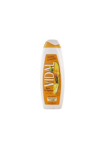 NF VIDAL BAGNO VANIGLIA ML500X12PZ - Carton de 12 pièces