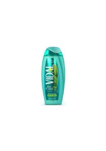 NF VIDAL BAGNO WHITE MUSK ML.500 PZ.12 - Carton de 12 pièces