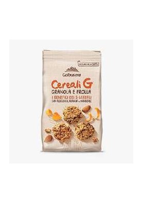 GALBUSERA CEREALI GRANOLA FRUTTA 300G10P