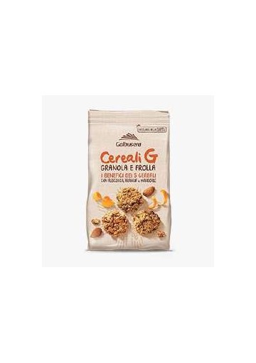 GALBUSERA CEREALI GRANOLA FRUTTA 300G10P